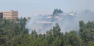 Incendio Pelusa