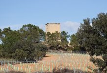 Torre en Graja de Iniesta