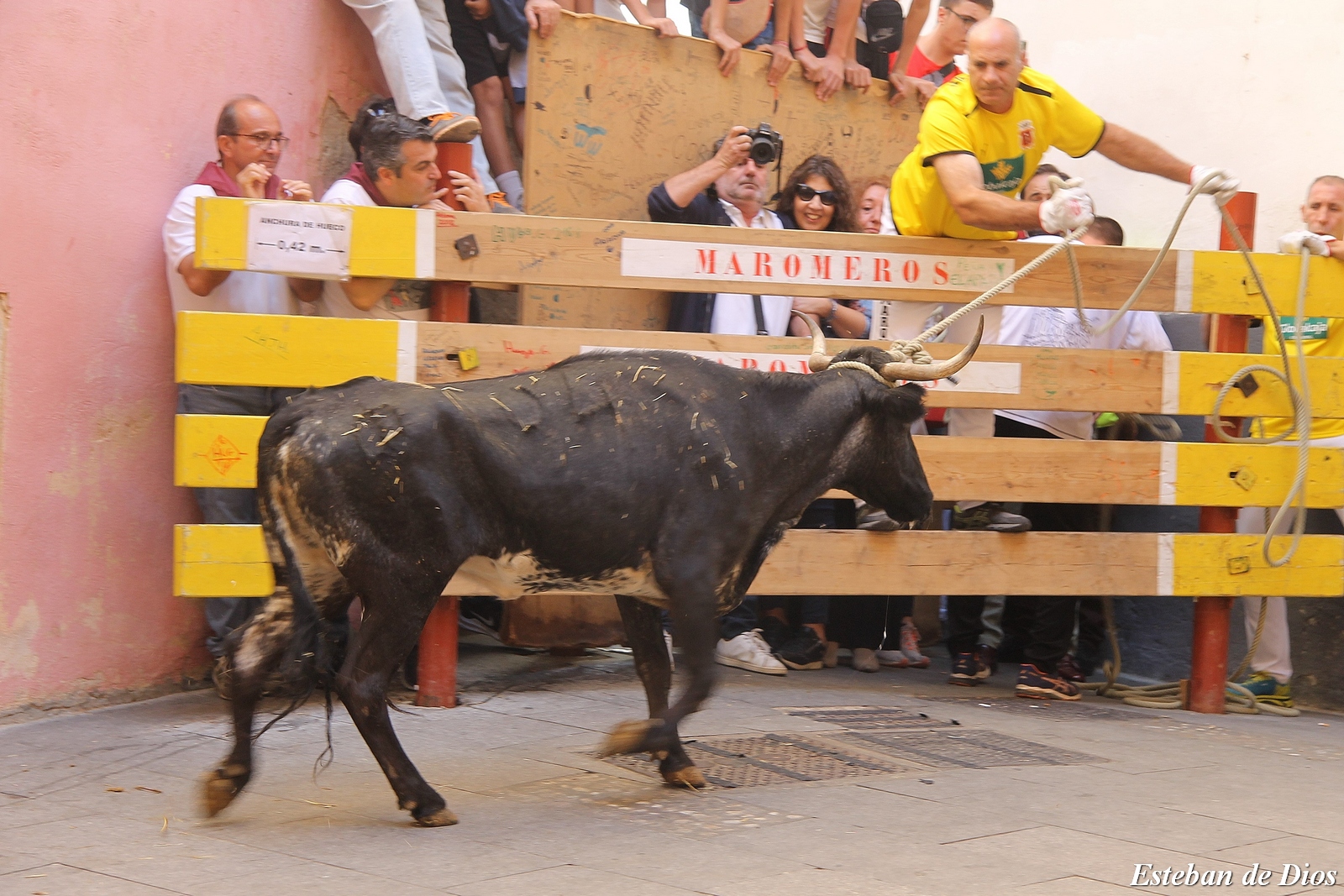 VAQUILLAS MATINALES 2022 (19)