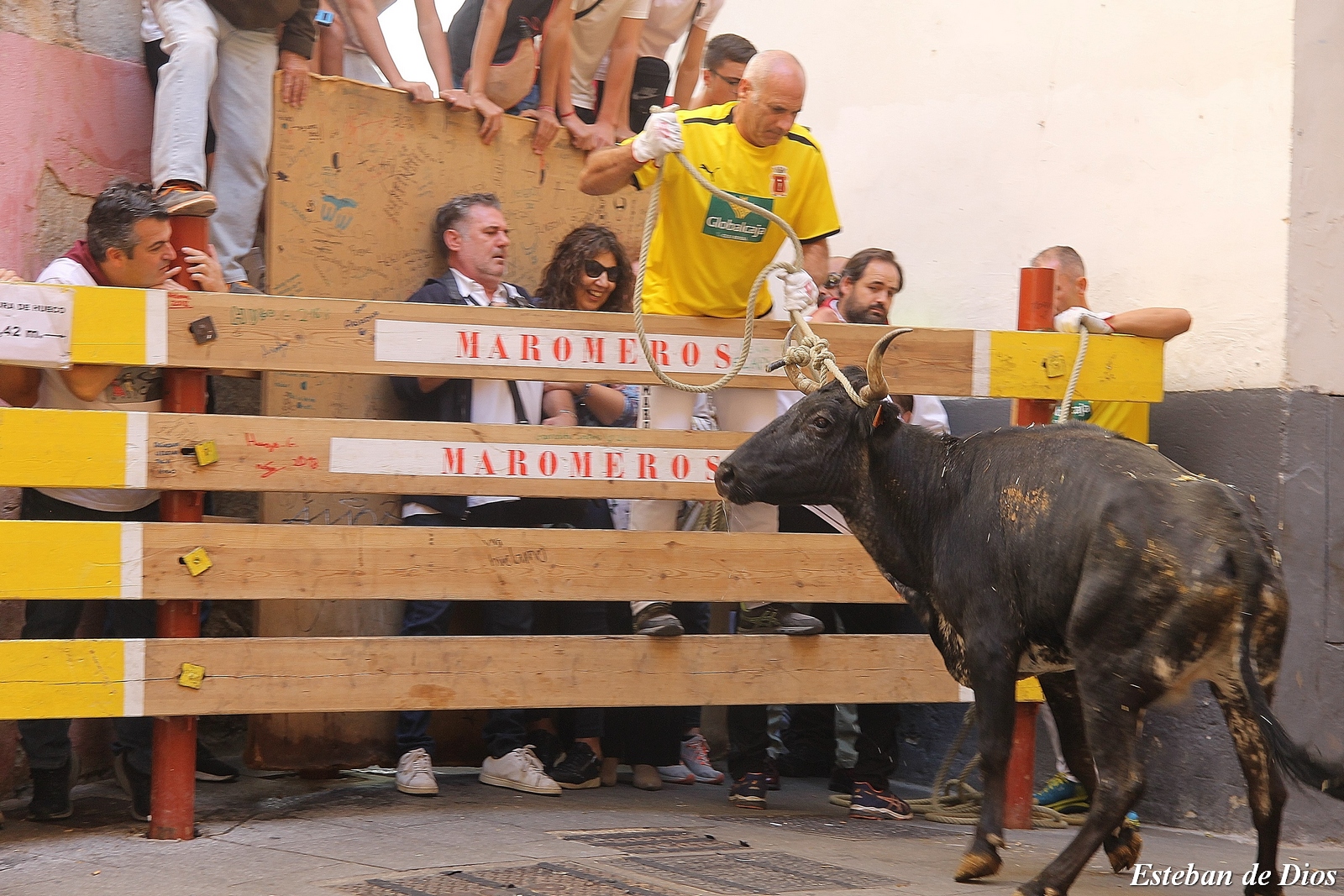 VAQUILLAS MATINALES 2022 (20)