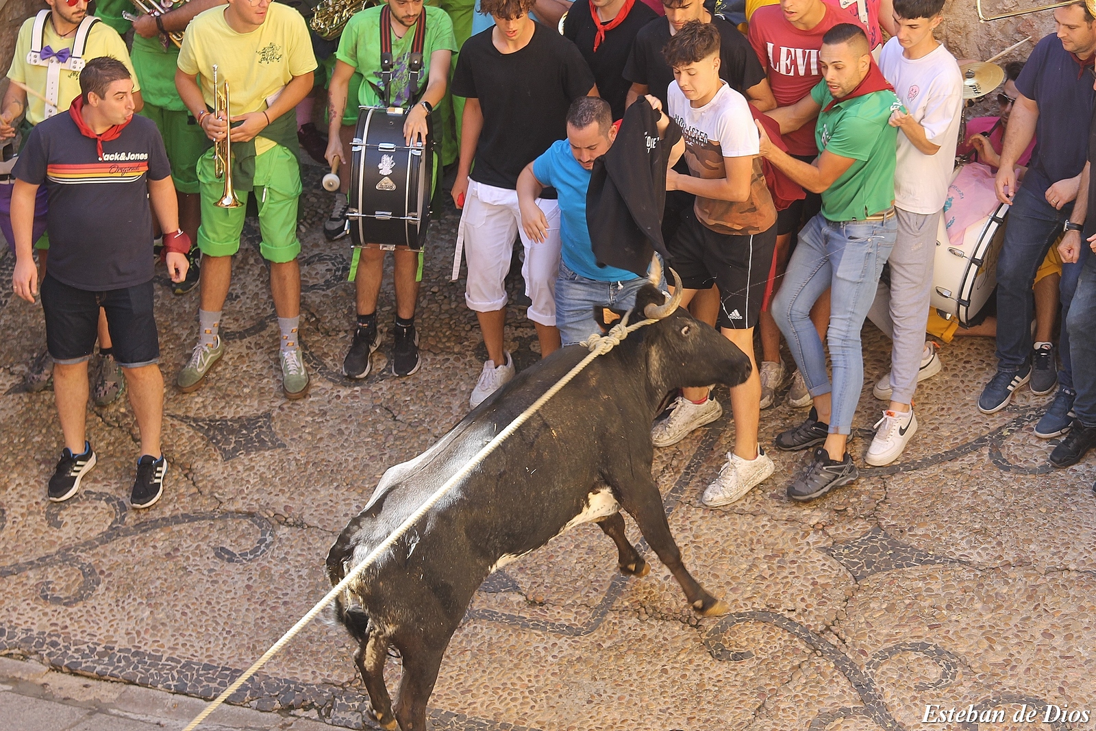 VAQUILLAS MATINALES 2022 (25)