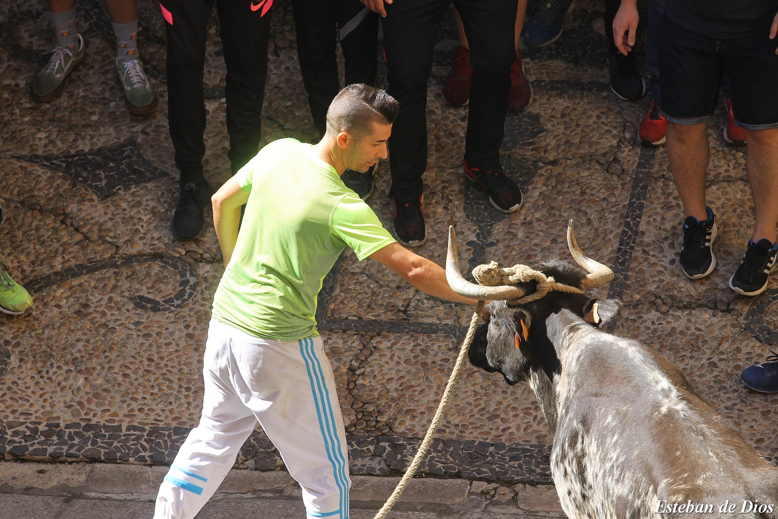 VAQUILLAS MATINALES 2022 (37)