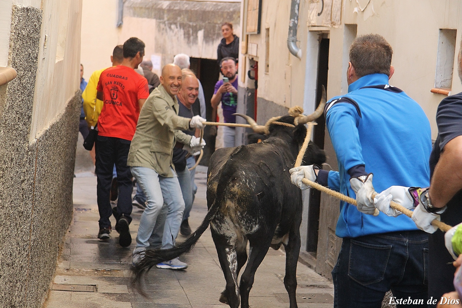 VAQUILLAS MATINALES 2022 (4)